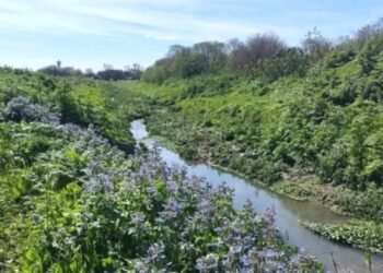 Una multitud incalculable de peregrinos marchó a Luján para pedir por «salud y trabajo»