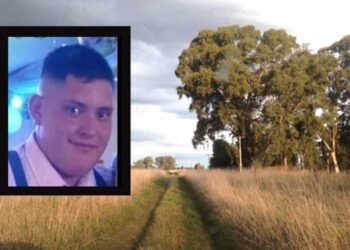 Dos jóvenes terminaron detenidos en La Matanza por robar 30 vacas y 6 caballos