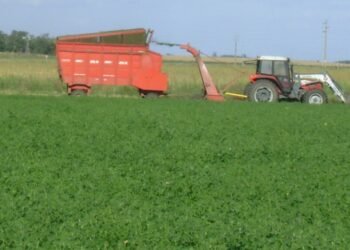 Se inaugurará un “polo nanotecnológico” en la Cuenca del Salado