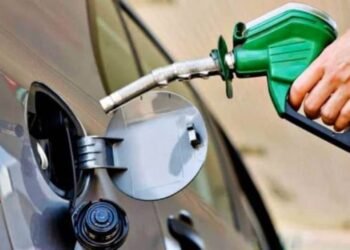 Por los buenos rindes, vuelven a elevar la estimación de la cosecha récord de trigo