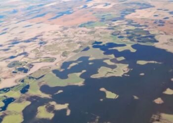 Pehuajó: un distrito bajo el «desastre agropecuario»