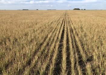 Durante Semana Santa viajaron el doble de pasajeros en trenes de larga distancia que en 2019