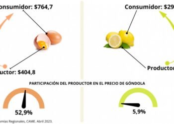 Los intendentes peronistas también se entusiasman con el desdoblamiento de Axel Kicillof