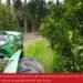 Lanzaron el Programa de Fomento a la Fruticultura 2023