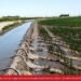 Multan a productores agropecuarios del sur bonaerense por extraer agua sin autorización