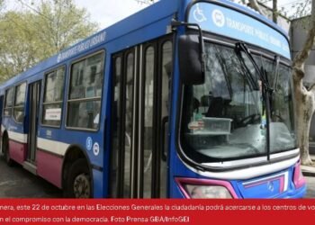 En territorio bonaerense garantizarán el transporte público gratuito para las elecciones
