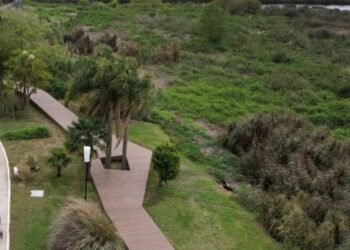 Vicente López avanza con obras para lograr una costa 100% pública