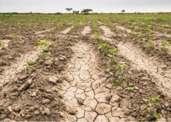 FEMEBA anunció que corta prestación a afiliados IOMA en varios municipios bonaerenses