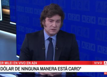 Milei: «Nuestro plan económico es mejor que la convertibilidad»